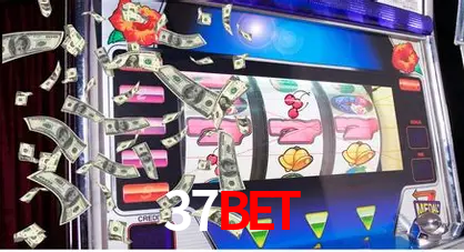 Descubra a Essência do 37Bet: Nossa História e Compromissos